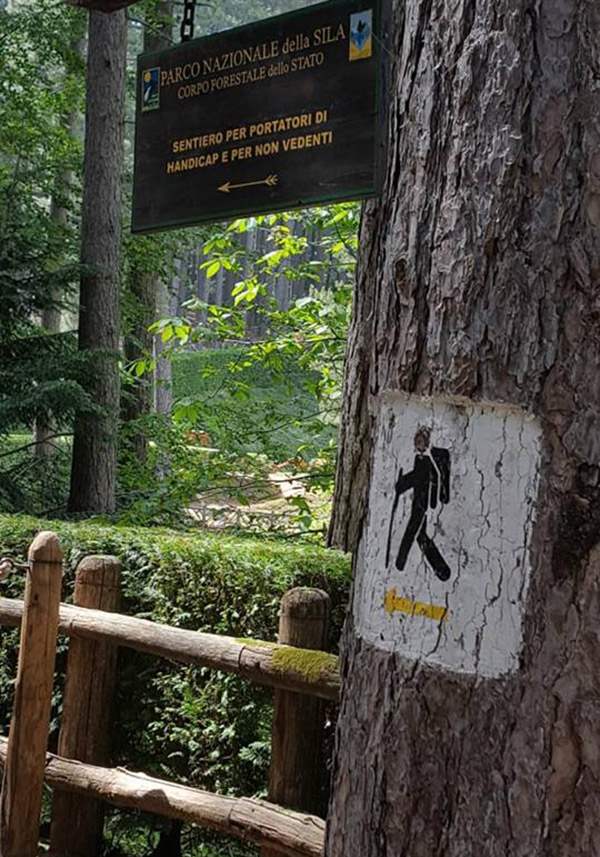 parapetti-legno.jpg