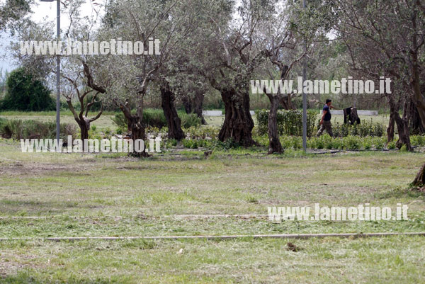 Lamezia: Multiservizi invita cittadini a collaborare a decoro aree verdi