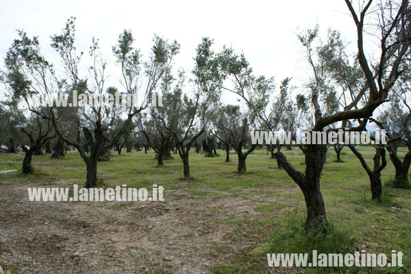 Lamezia: Domani inaugurazione parco "25 Aprile" in via Murat