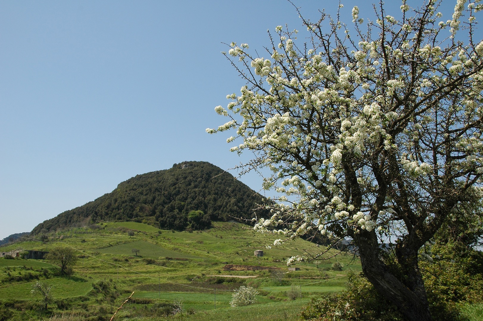 “Sentiero del Brigante” nell'Atlante dei Cammini: da Aspromonte alle Serre, un itinerario di qualità per escursionisti