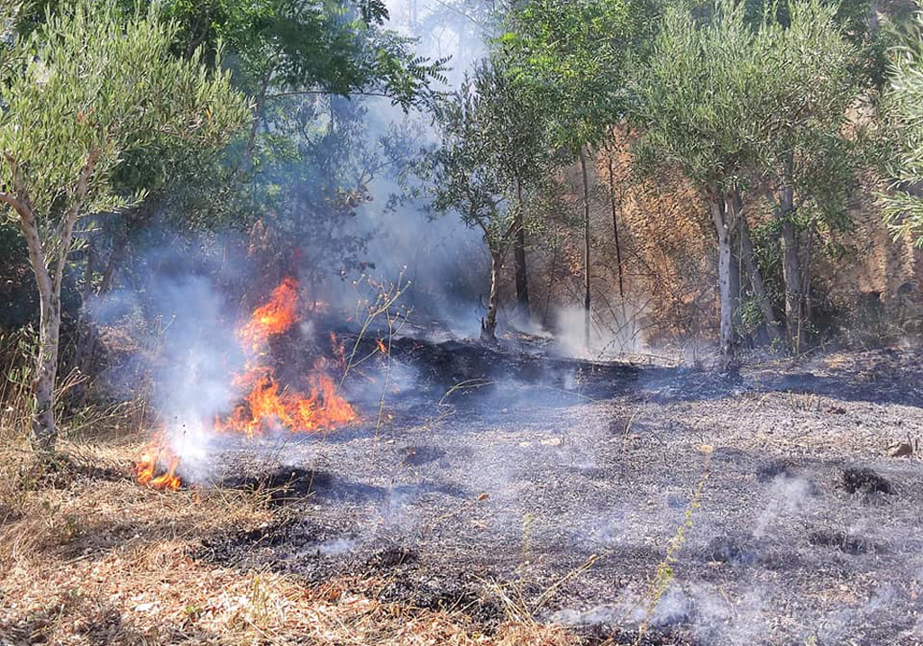 Lamezia, incendio al parco Gancia: l'amarezza del comitato