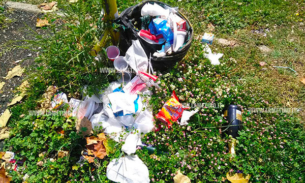 Lamezia, Piccioni: "Procedura verde pubblico illegittima e parchi cittadini nel degrado"