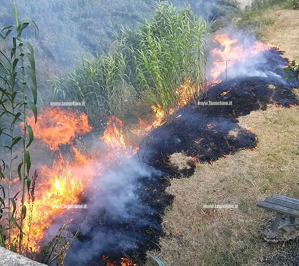 parco-mastroianni--incendio-luglio-2014-ter.jpg