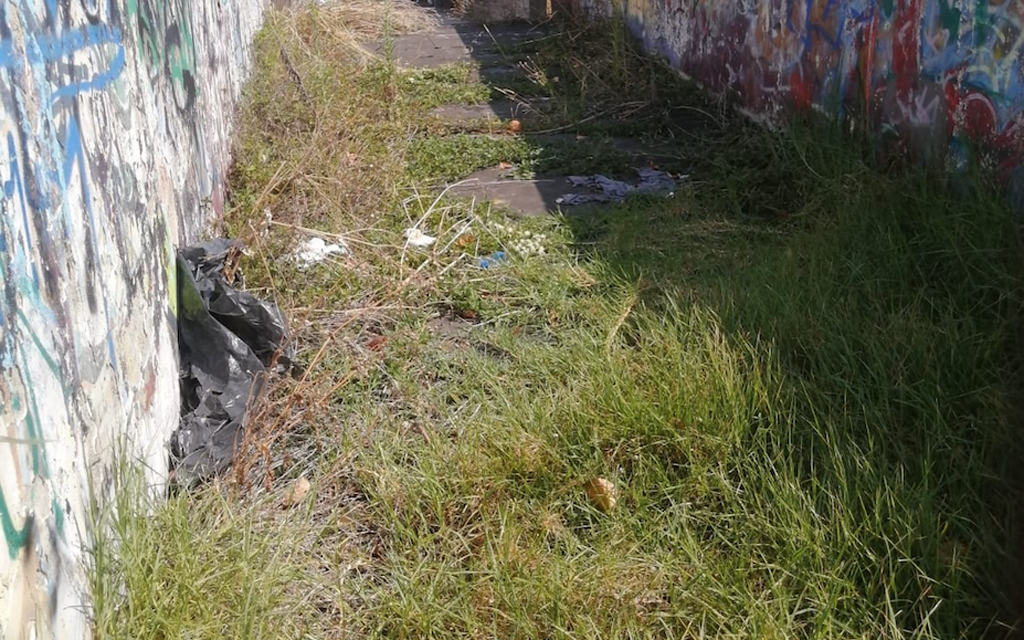 Lamezia, Italia Nostra segnala condizione del parco Mastroianni: “Dimostrazione dell'urgente intervento richiesto”