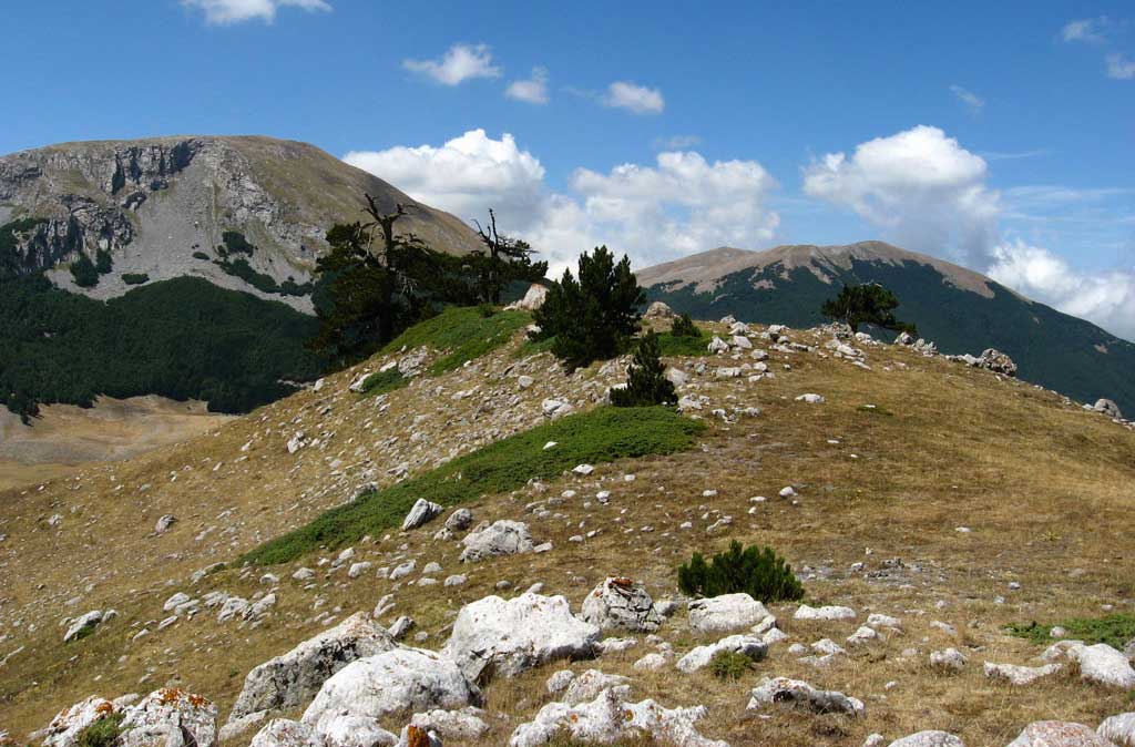 Parco nazionale del Pollino, M5s chiede il commissariamento  