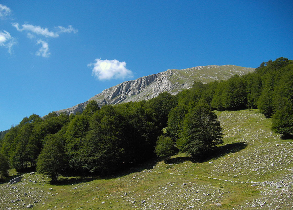 Parco del Pollino riceve il "Premio Oscar Ecoturismo 2019" di Legambiente