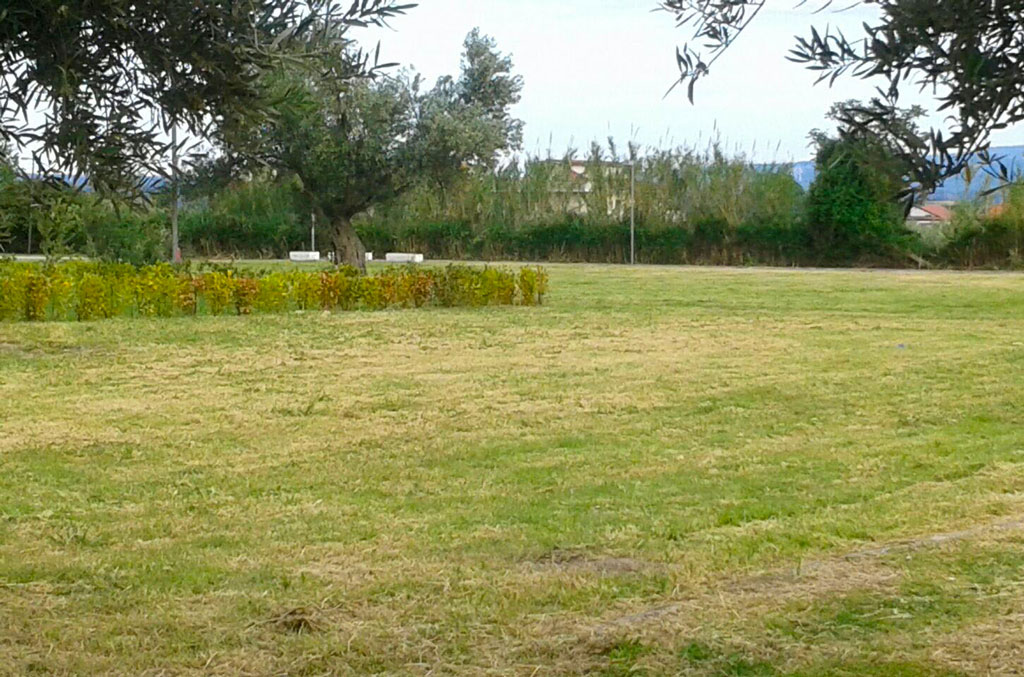 Lamezia, Vescio (FDI): "Contenti che il parco 25 Aprile è stato pulito"