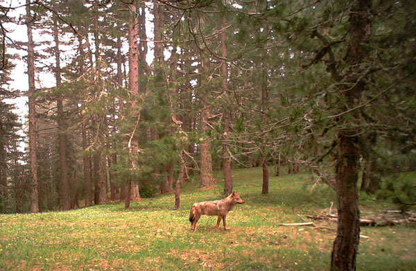 parco-sila-05022017-100420.jpg