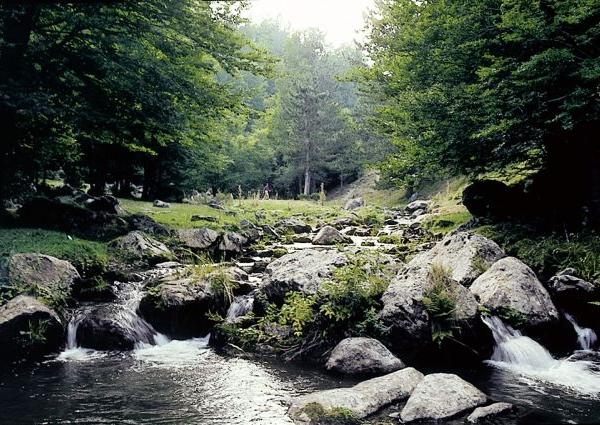 A 9 parchi italiani premio europeo per turismo sostenibile, c'è anche Parco Nazionale della Sila 