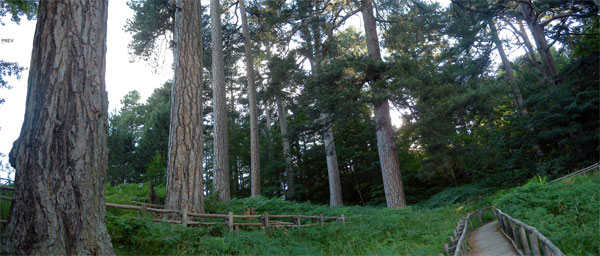 parco_sila2.jpg