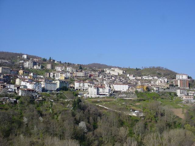 Calabria: Via libera ad impianto biomasse a Parenti