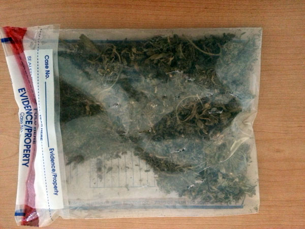 parte-marijuana-sequestrata.jpg