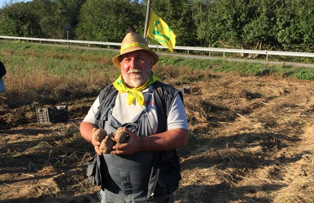 A Decollatura il "cava patate day" di Coldiretti Calabria con protagonista la patata viola