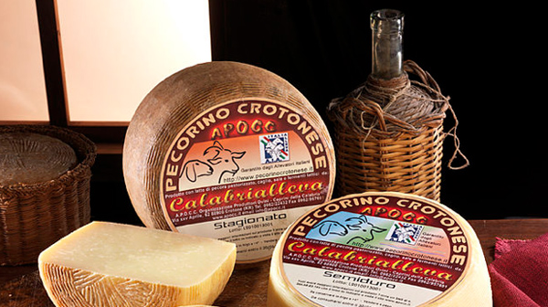 pecorino-crotonese-dop.jpg