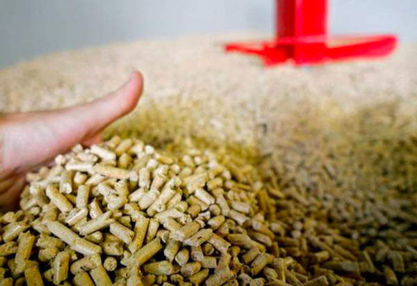 Sequestrate 118 tonnellate di pellet contraffatto, era destinato anche in Calabria