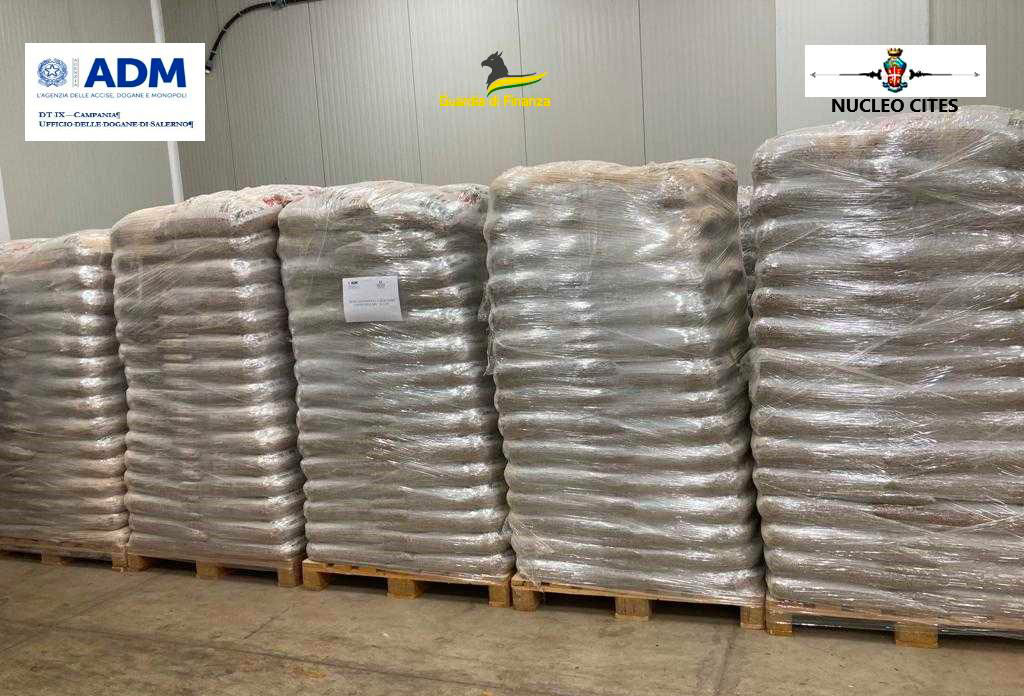 pellet_2e588.jpg