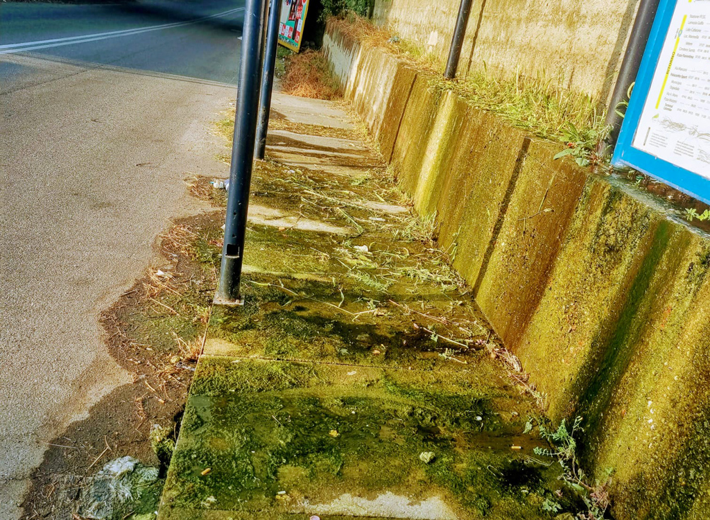 pensilina-mare_a0ef0.jpg