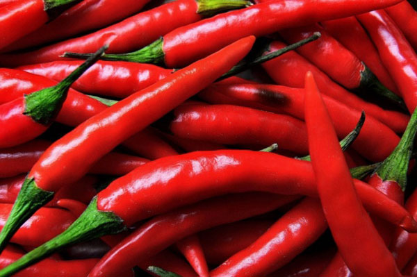 Il peperoncino di Calabria protagonista a Sanremo