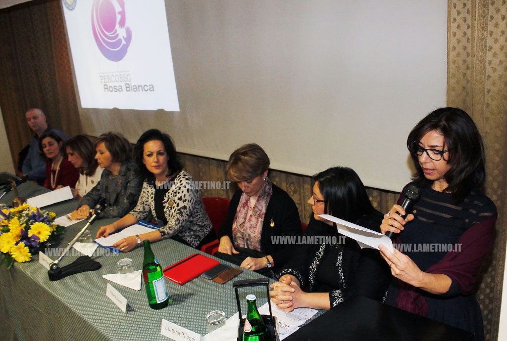 percorso_rosa4.jpg