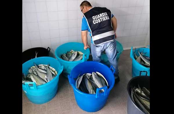 Pesca frodo nel crotonese, sequestrato prodotto ittico