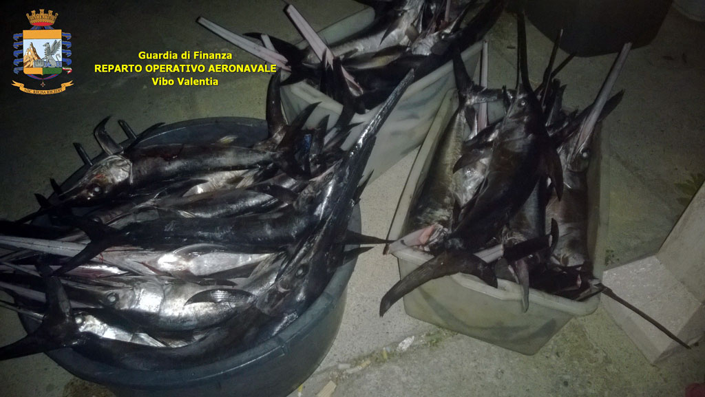 pesca-spada-3-dic1.jpg