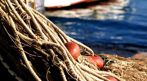 Pesca e acquacoltura, Gallo: "Promuoviamo immagine Calabria"