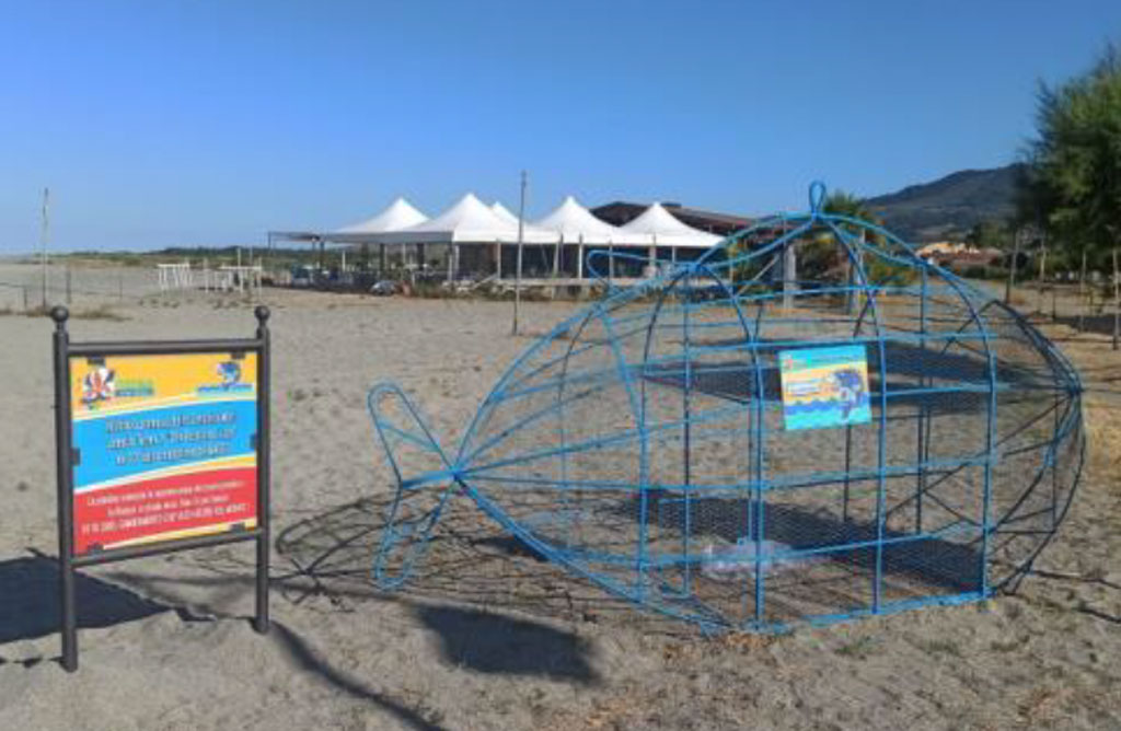 pesce-2025-07-11-alle-10.12.03_c455c.jpg