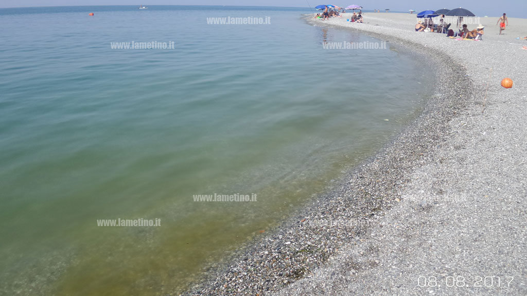 pesce-anguille_mare-sporco_8-agosto_1.jpg