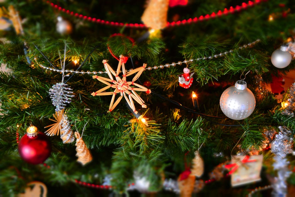 L'Immacolata accende la magia del Natale, è corsa per l'allestimento dell'albero
