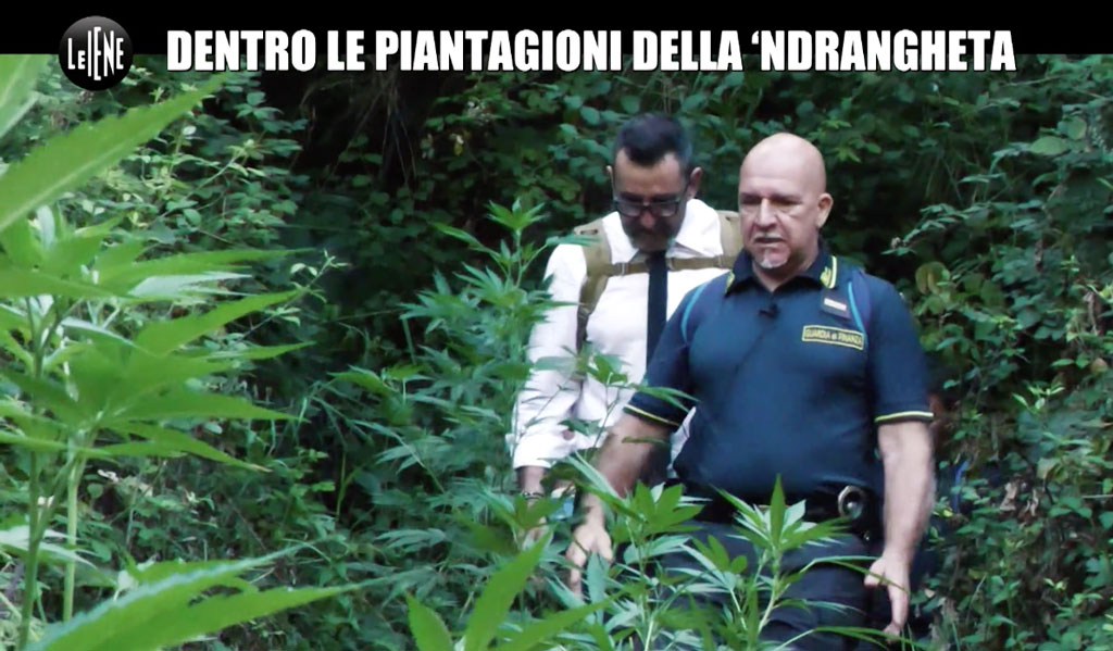 piaintazione-2023-11-01-alle-11.04.12_b02e9.jpg