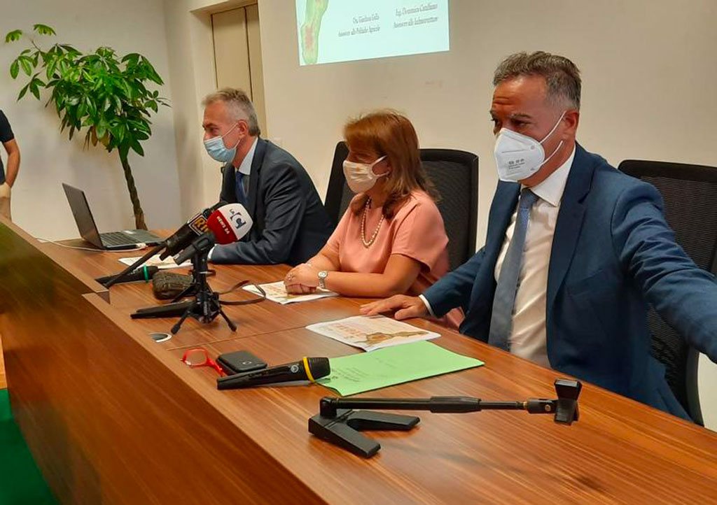 Prevenzione incendi boschivi, da Regione un piano di 10 milioni per interventi di pulizia