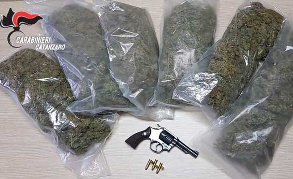 Sorpreso a curare coltivazione cannabis indica e in possesso di arma clandestina, arrestato 48enne a Curinga