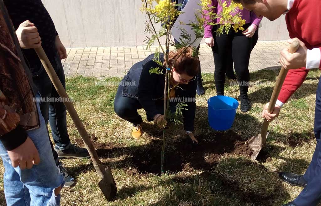 piantiamola-foto-festa-donnne-080320193.jpg