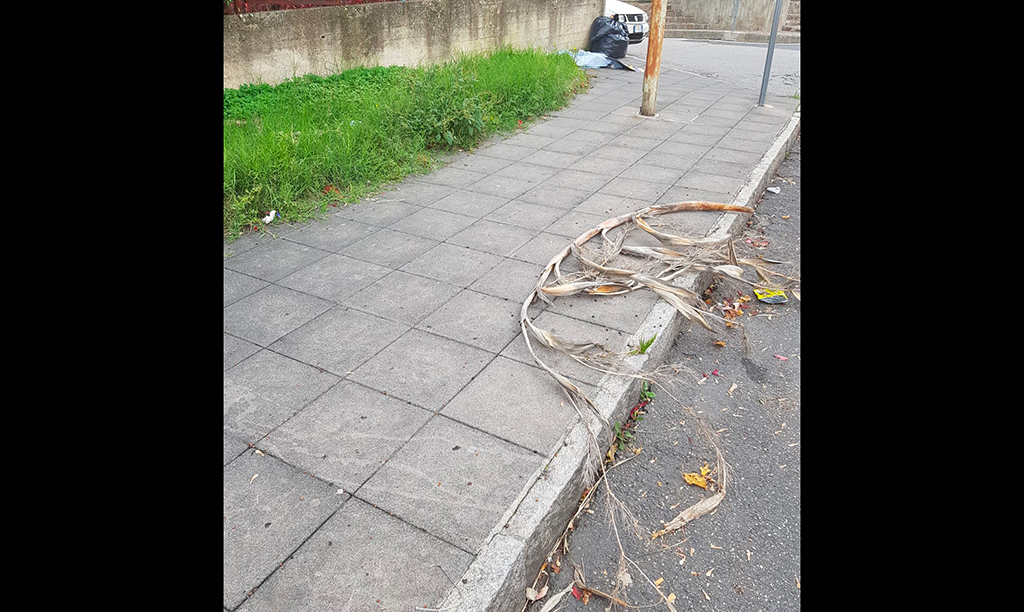 Lamezia, degrado e incuria a piazza Botticelli   
