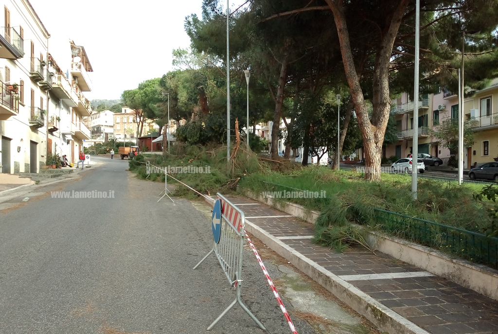 piazza-garibaldi-alberi-tagliati-311018-5.jpg