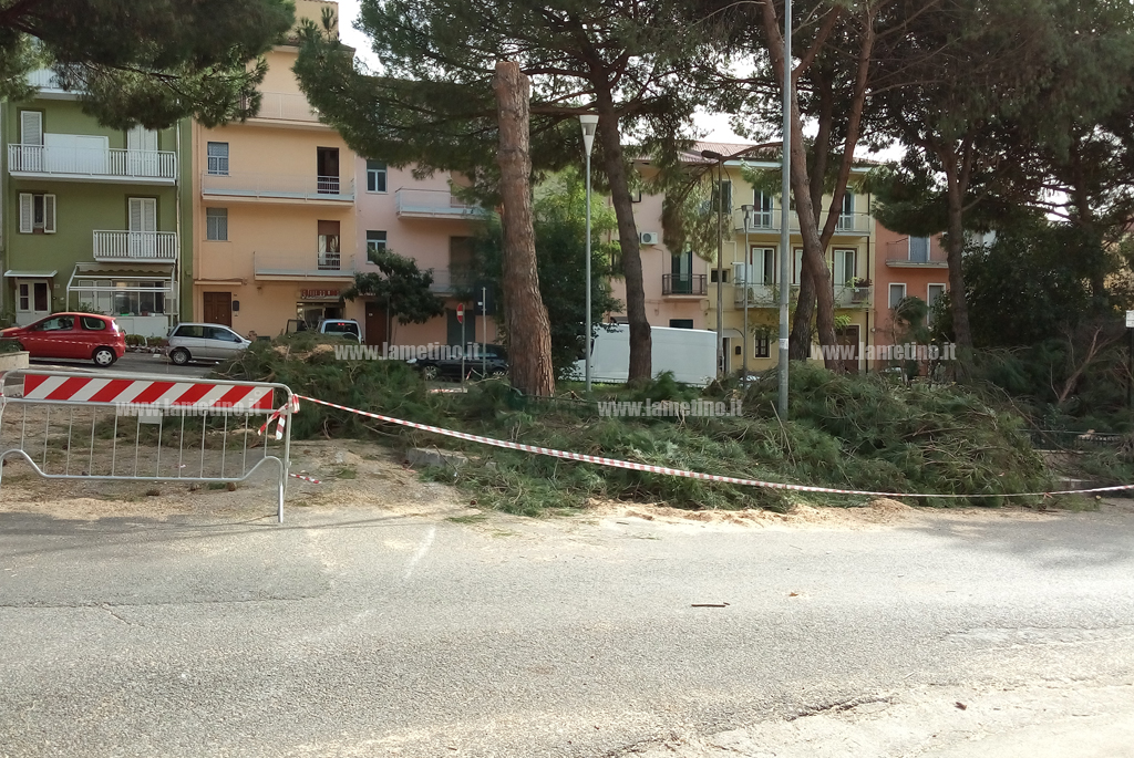 piazza-garibaldi-alberi-tagliati-311018-5.jpg