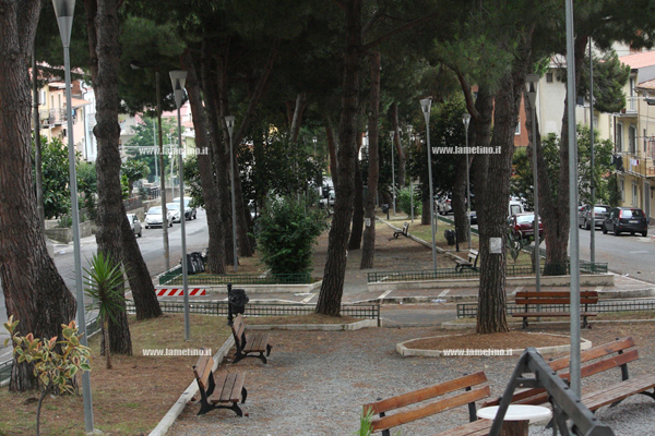 Lamezia, alberi pericolanti in piazza Garibaldi: manifestazione d'interesse per abbattimento 10 pini