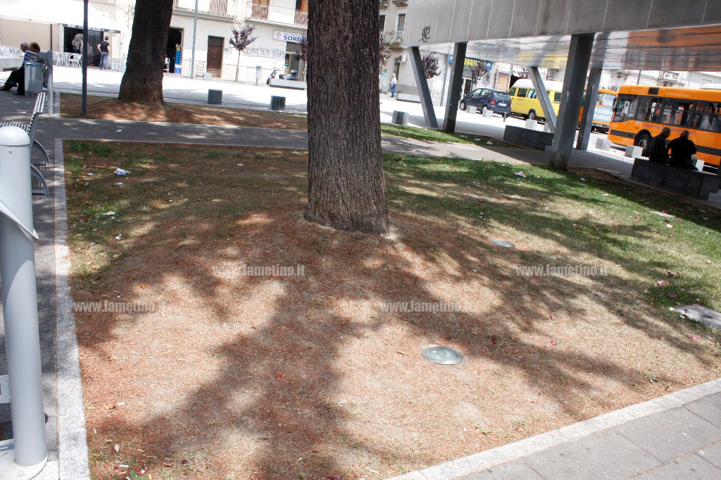 piazza-mazzii-lamezia-impianto-irrigazione-2.jpg