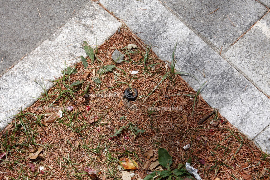 piazza-mazzii-lamezia-impianto-irrigazione-3.jpg