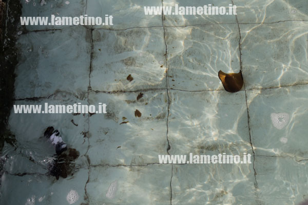piazza-mercato-vandali-fine-settimana-2014-3.jpg