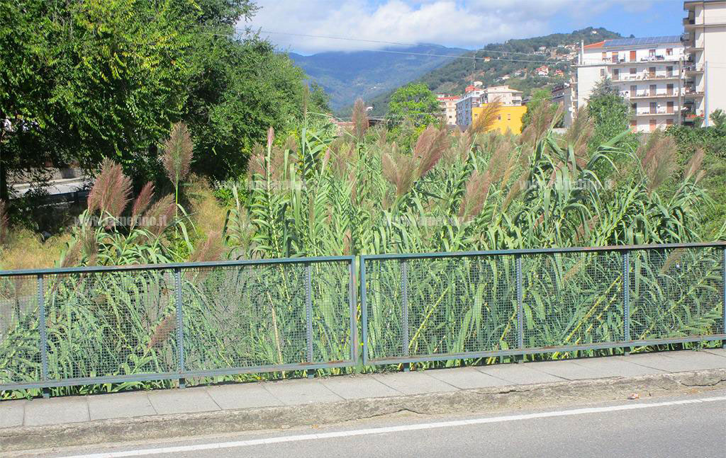 piazza-via-dalla-chiesa-torrenti-2020.jpg