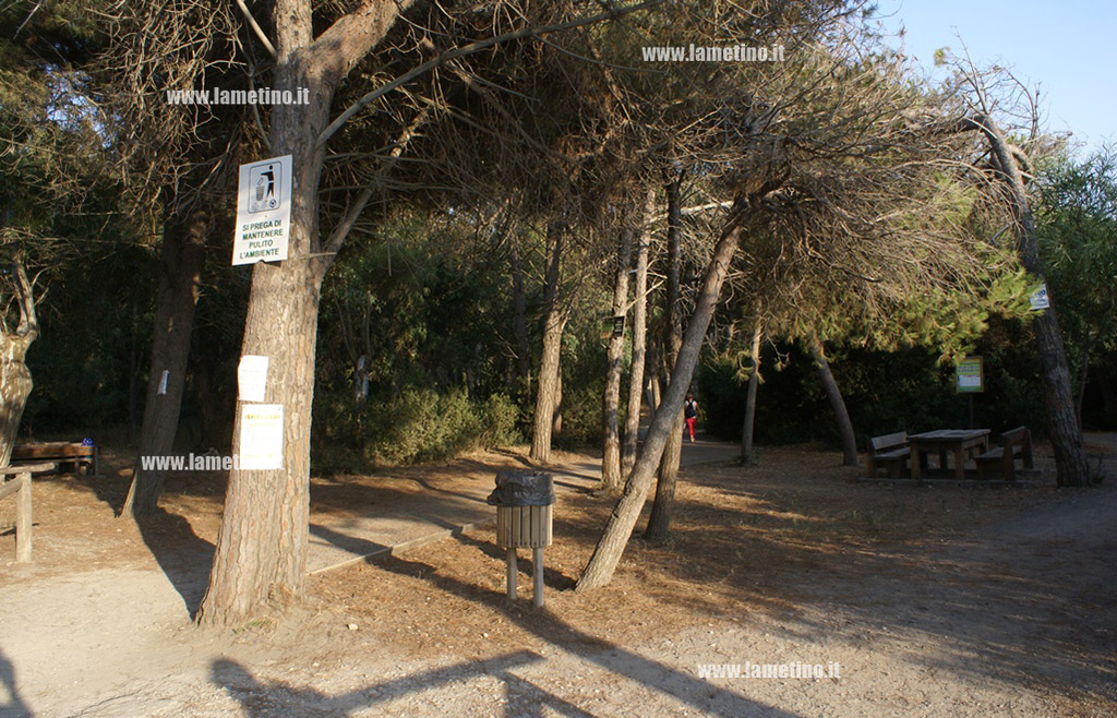 Lamezia, consiglieri Mastroianni e Folino: "Nel degrado pineta e lungomare Falcone-Borsellino"