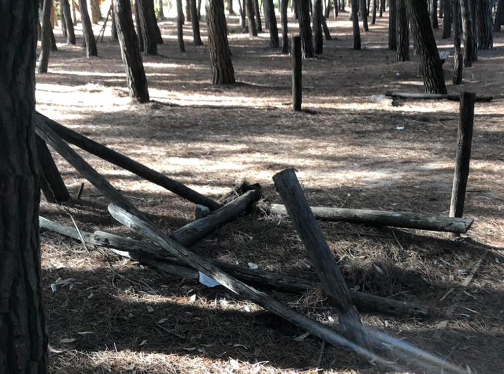 Lamezia, pineta del lungomare Falcone Borsellino nel degrado: l'appello dei residenti