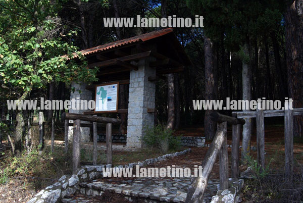 pineta-dosso-comuni-lamezia_bis.jpg