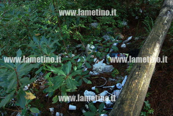 pineta-dosso-comuni-rifiuti-5.jpg