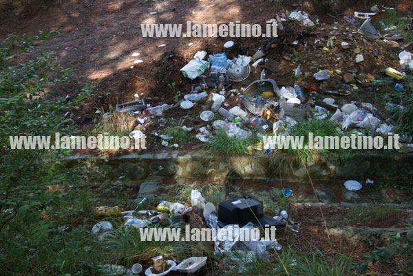 pineta-dosso-comuni-rifiuti-bis.jpg