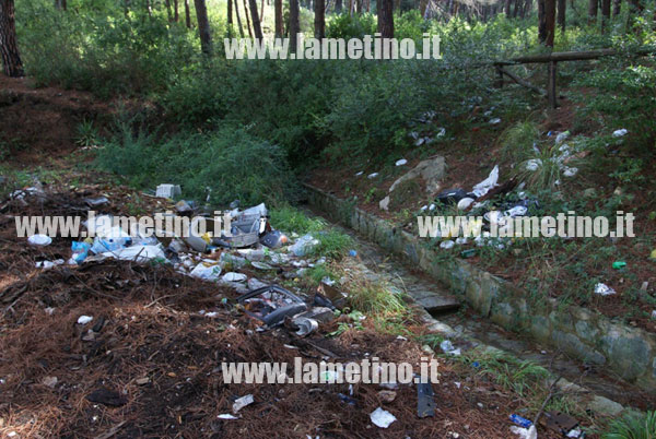 pineta-dosso-comuni-rifiuti-quater.jpg