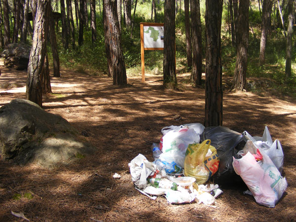 pineta-lamezia-17-luglio-2011-i-rifiuti-raccolti