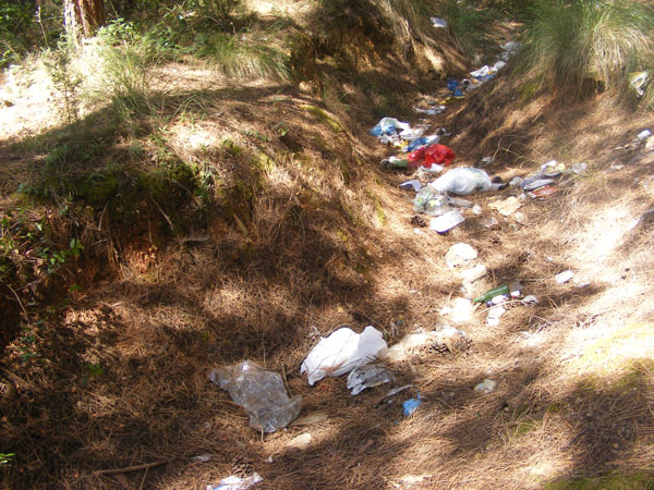 Lamezia: Degrado alla pineta, lettera di denuncia
