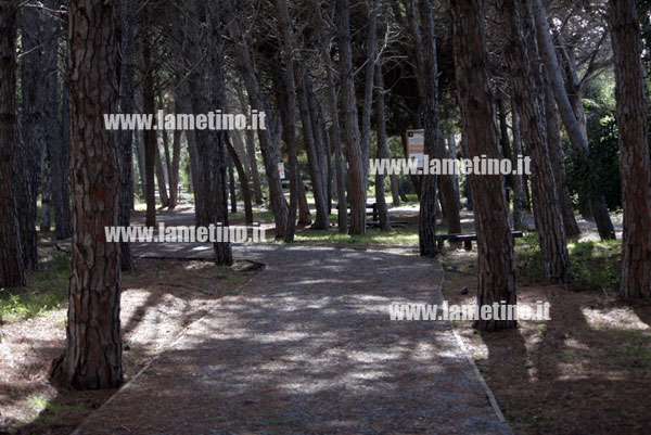 pineta-lungomare-1-novembre-2012